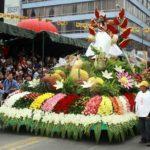 fiesta-flores-frutas
