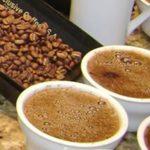 exportaciones de cafe