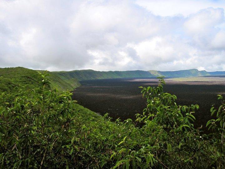 Volcan Sierra Negra isabela island