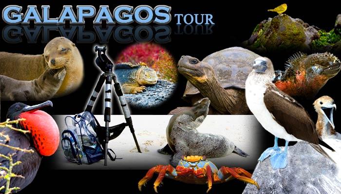 Galapagos-tour