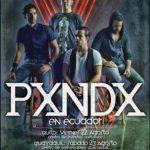 pxndx-concierto-panda-ecuador-2014