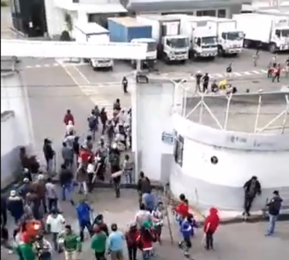 saqueos en fabrica Parmalat