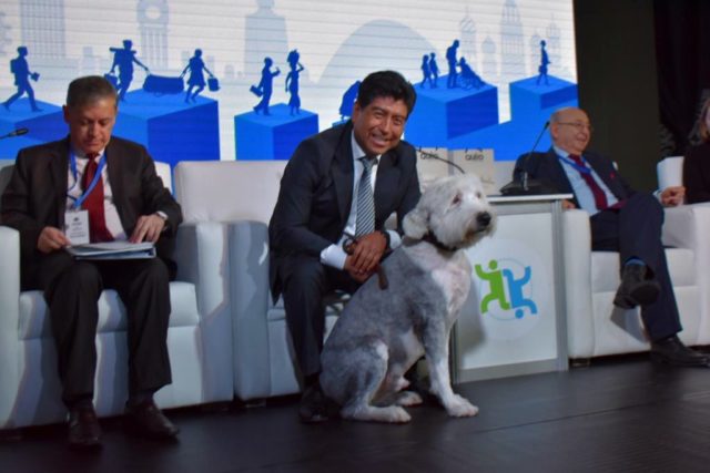 alcalde de Quito lleva a su perro al Foro Mundial de Migración