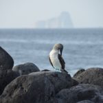 dia-de-galapagos