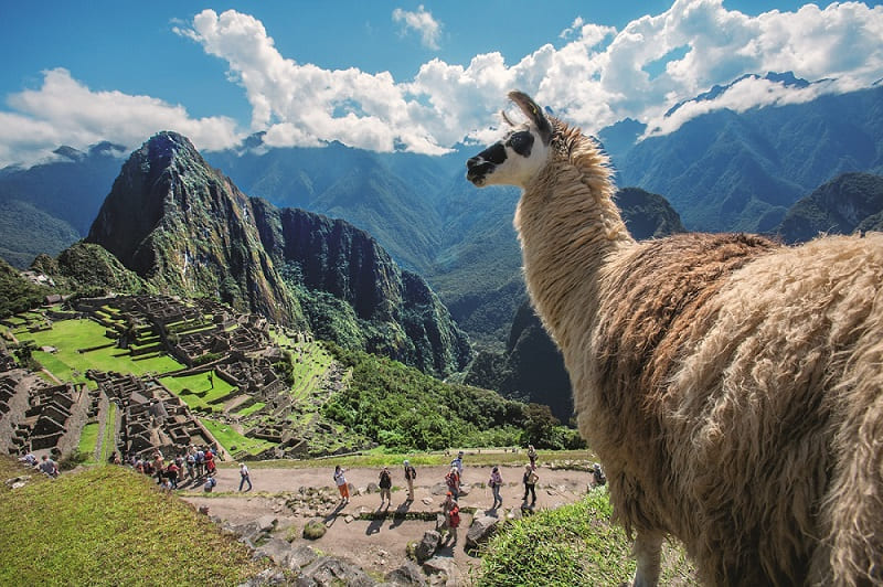 Machupicchu-Peru 
