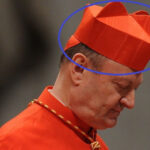 capelo-cardenales