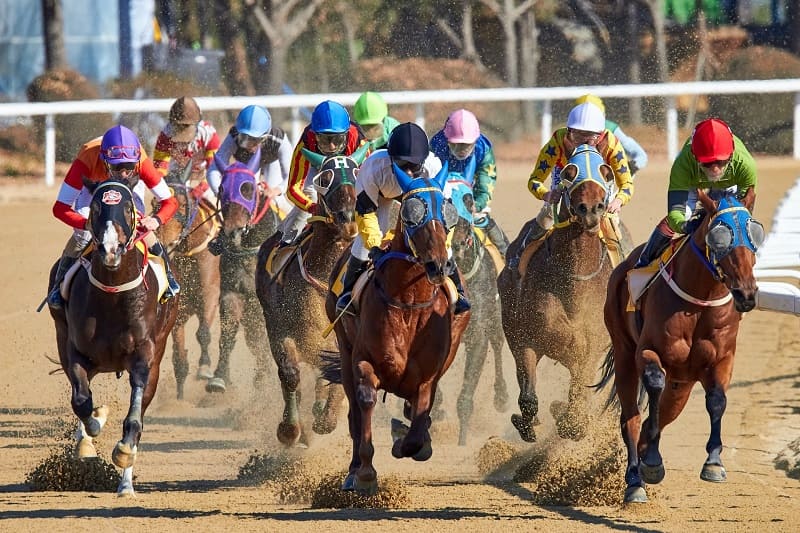 carrera-caballos