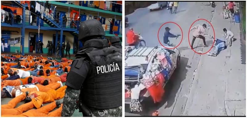 estado-fallido