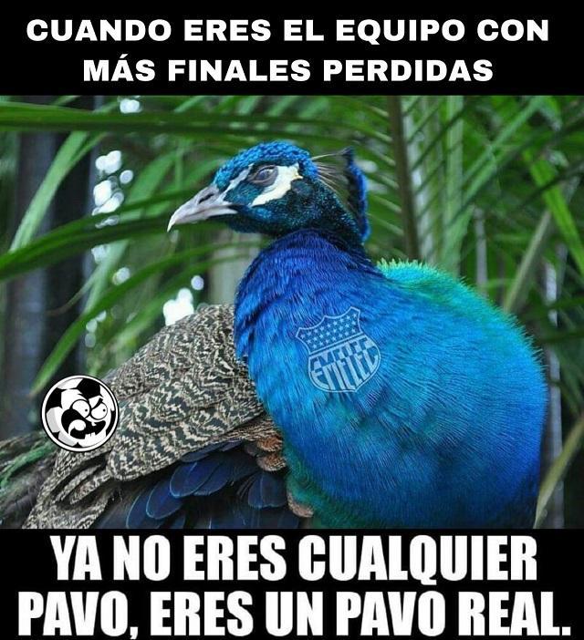 memes-final-emelec
