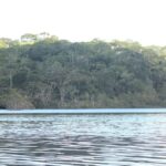 peces-amazonia-metales-pesados