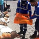 perros-envenenados-quito
