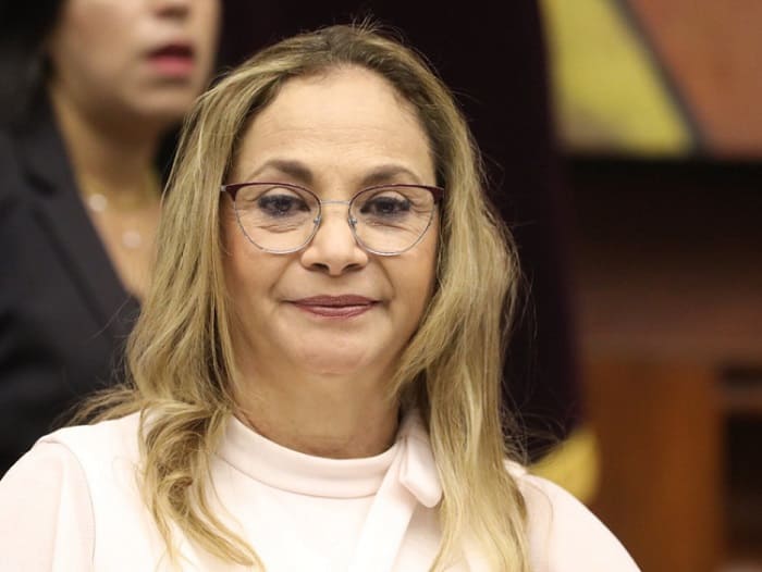 pierina-correa-retiro-politica
