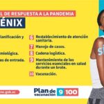 plan-fenix