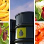 productos-exportacion-ecuador