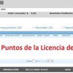 consultar puntos licencia conducir