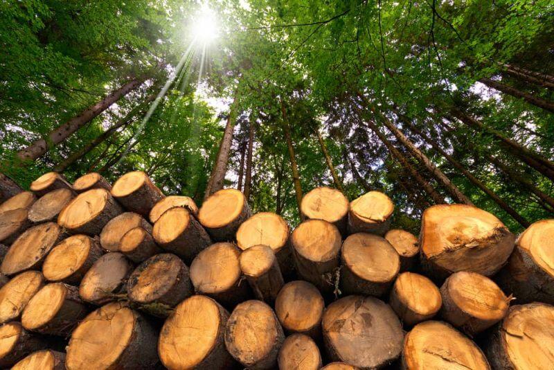 recursos-naturales-productos