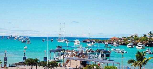 santa-cruz-semaforo-verde